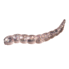 Bufworm - 015