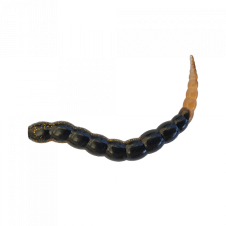 Bufworm - 214