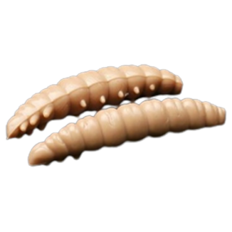 Larva - 035