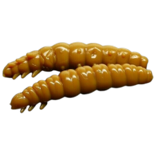 Larva - 036