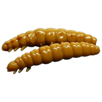Larva - 036