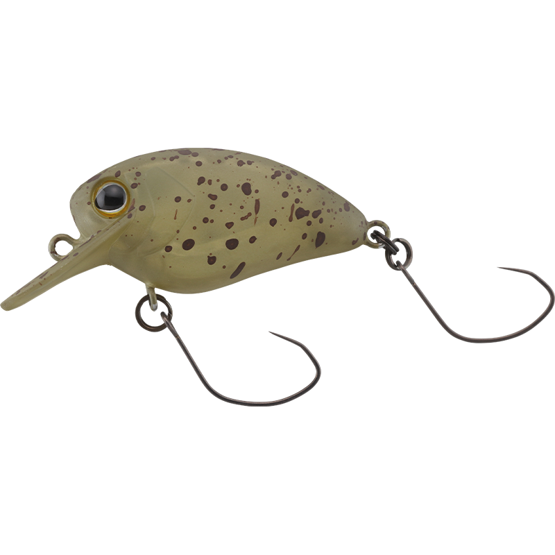 Timon Flapani Endo Pumpkin