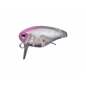 Evergreen - Killer Bug 23 Col.08 Evergreen - Killer Bug 23 Col.08