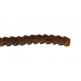 Spro - Spring Worm Terrapin