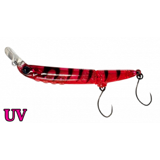 Timon Futten FS Pink Suji Shrimp