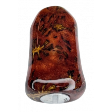 DCW - Classic - 1000