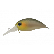 Jackall Timon Chibi Panicra DR Shizuoka Bizin