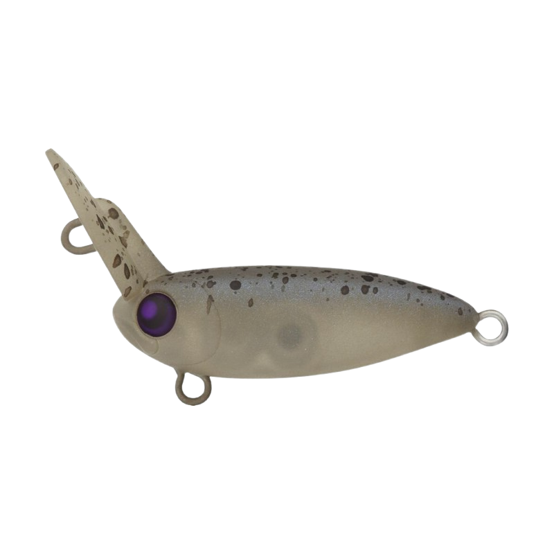 Rodio Craft USSA XS No. 3 Rodio Craft USSA XS No. 3