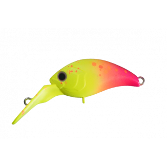 O.S.P - Melo DR-F TR01