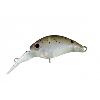 O.S.P - Melo DR-F TR06