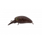 Jackall Timon Micro Panicra MR-SS Tackey Brown Jackall Timon Micro Panicra MR-SS Tackey Brown