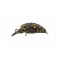 Jackall Timon Micro Panicra MR-SS Yazy Pellet San