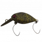 Rodio Craft Moca Fat Jr. DR - SS No.36