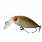 Rodio Craft Moca SR SS Col. 33