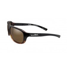 ACE Polarized Bronze Gloss Tortoise Fade Frame